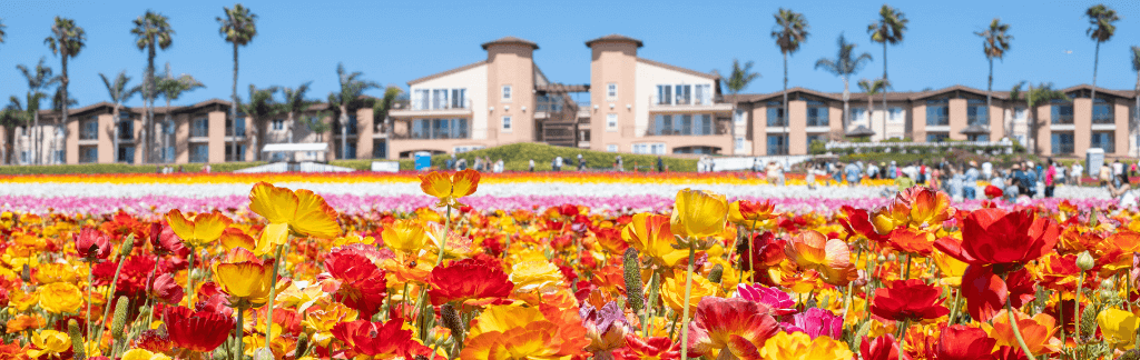 Carlsbad neighborhood