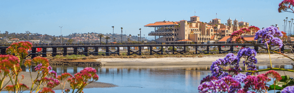 Del Mar neighborhood