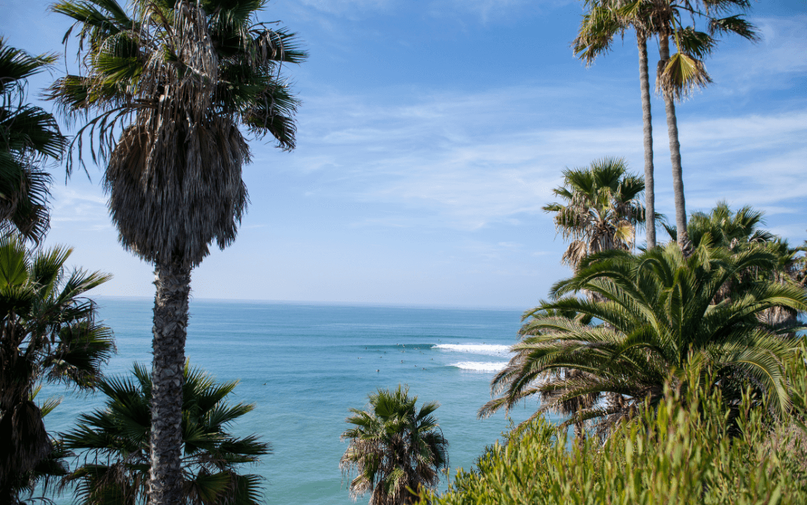 Swamis Beach / Surfing