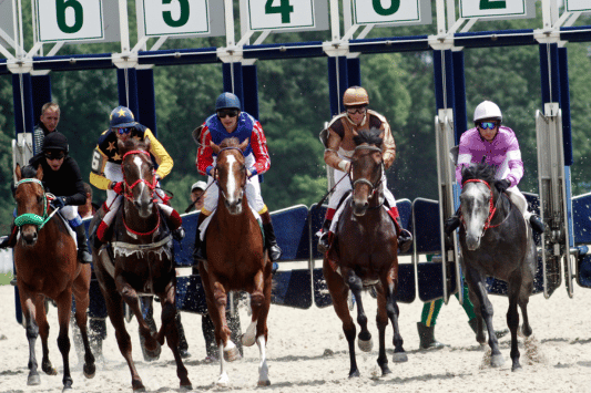 Santa Anita Park