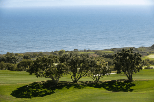 Rancho Palos Verdes