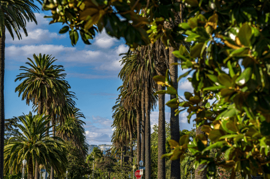 West Hollywood Park