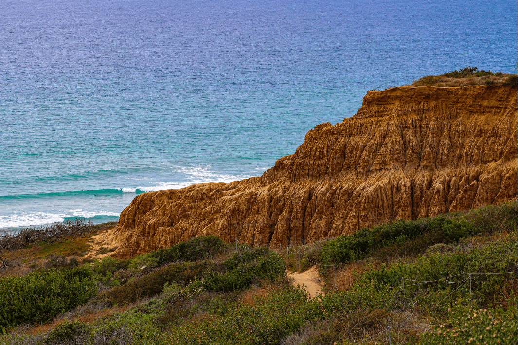 Torrey Pines State Beach