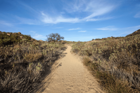 Los Peñasquitos Canyon Preserve
