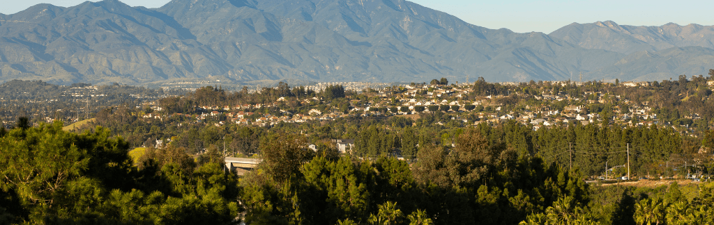 Aliso Viejo neighborhood