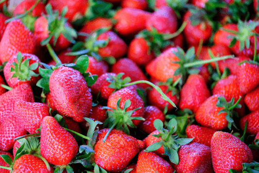 Garden Grove Strawberry Festival
