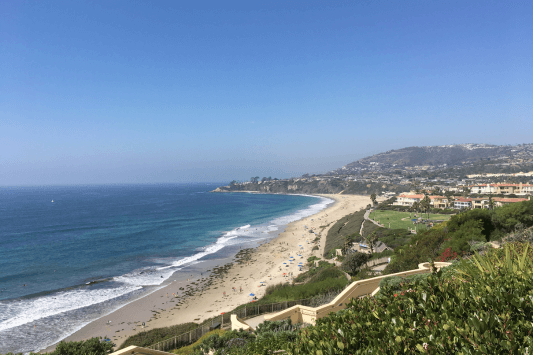 The Ritz Carlton