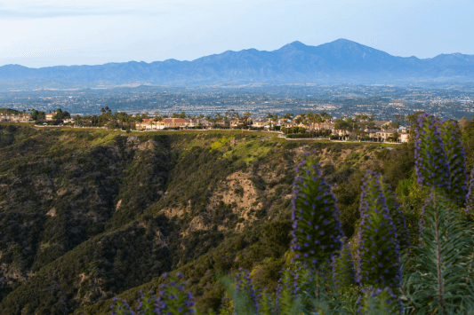 Laguna Niguel