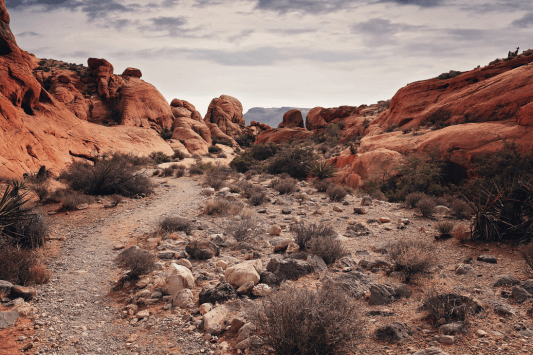 Whiting Ranch Wilderness Park