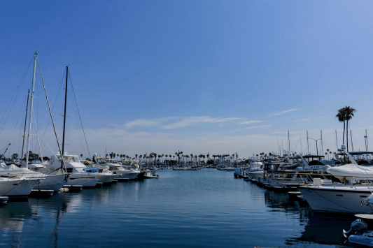 Alamitos Bay Marina