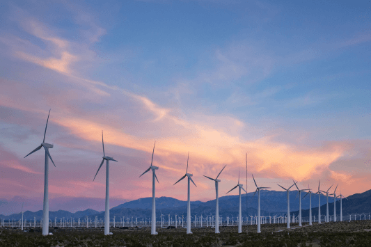 Windmill Tours