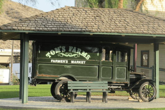 Tom’s Farms