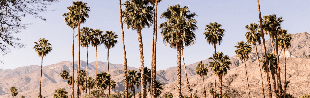 Desert Hot Springs, Indio Hills & Sky Valley neighborhood
