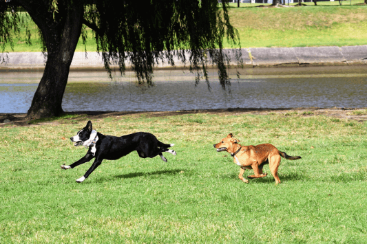Eastvale Parks and Recreation