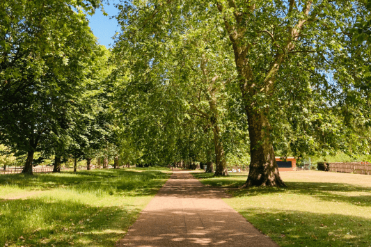 Highgrove Community Park