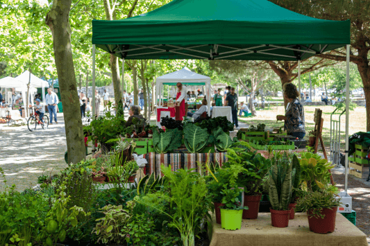 Local Farms and Farmers’ Markets