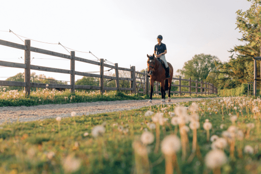 George Ingalls Equestrian Event Center