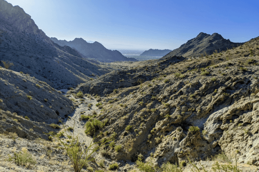 Hike Cove to Lake Trail