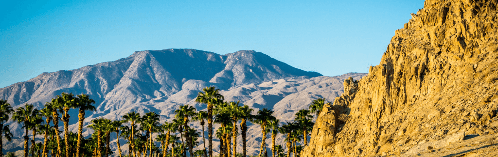 La Quinta neighborhood