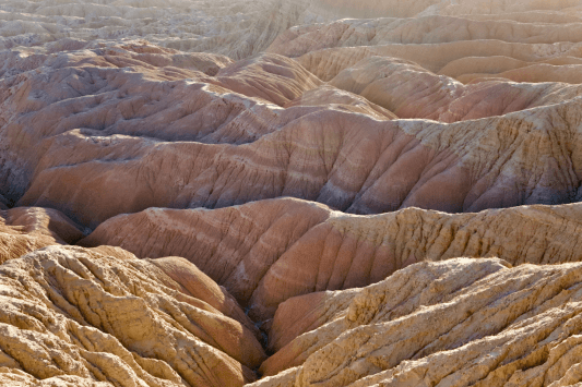 Anza-Borrego Desert State Park