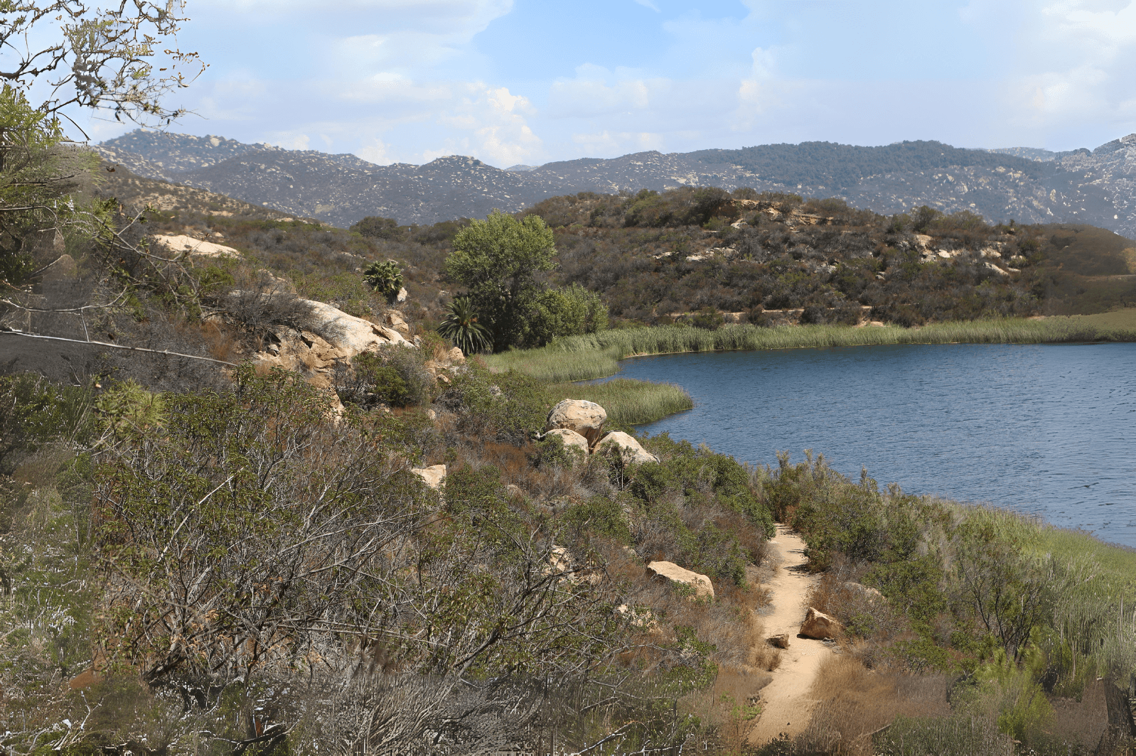 Escondido