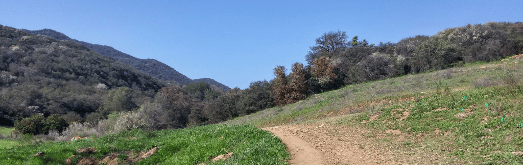 Agoura Hills neighborhood