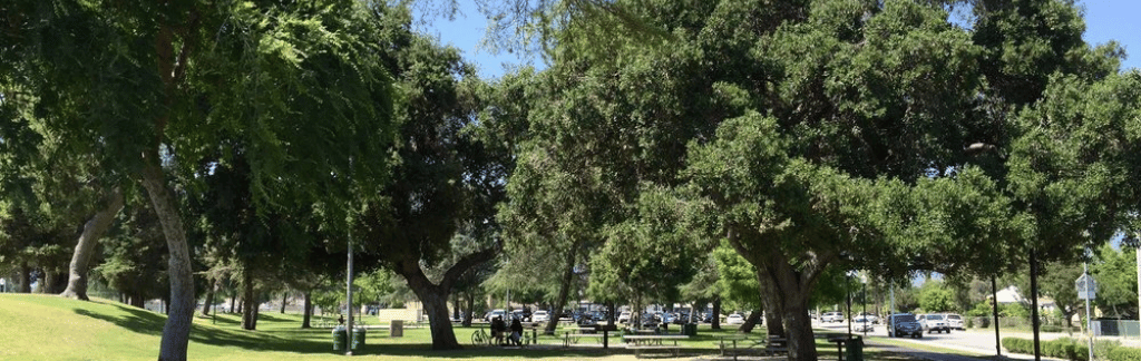 Rosemead & Temple City neighborhood