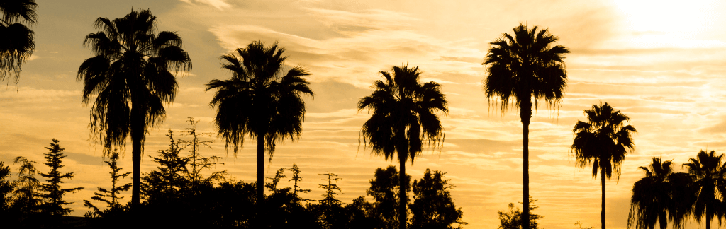 La Palma neighborhood