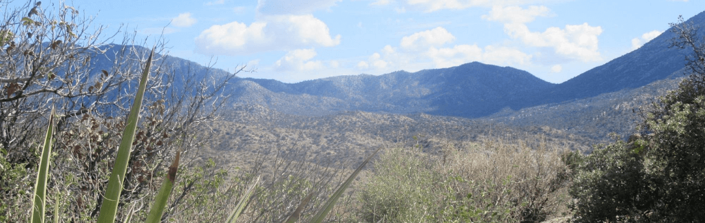 Mountain Center & Valle Vista neighborhood